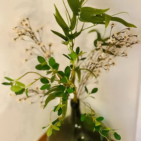 Casa Mirasierra Holiday home Fuentes De Leon