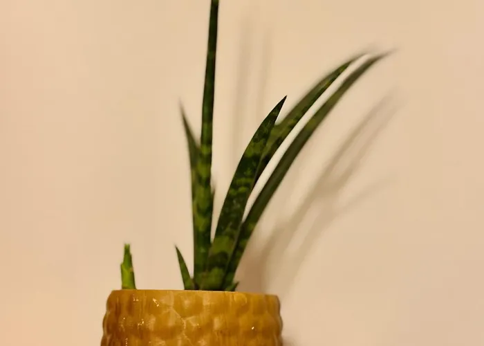 Casa Mirasierra Prázdninový dům *