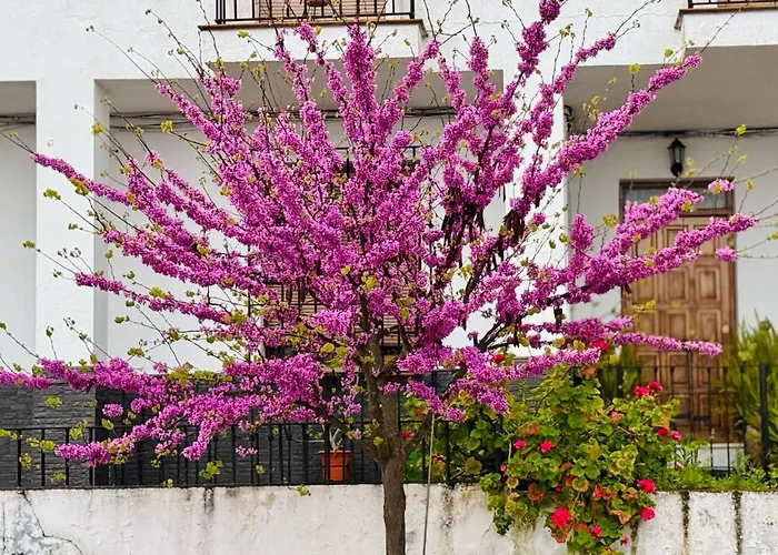 Casa Mirasierra Semesterbostad *